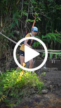 BIB:  <button type="button" onclick="openModal(27536704)" class="btn btn-primary btn-sm float-right" data-toggle="modal" data-target=".modal-high-quality">
                <i class="fa fa-download"></i> Download
                </button>